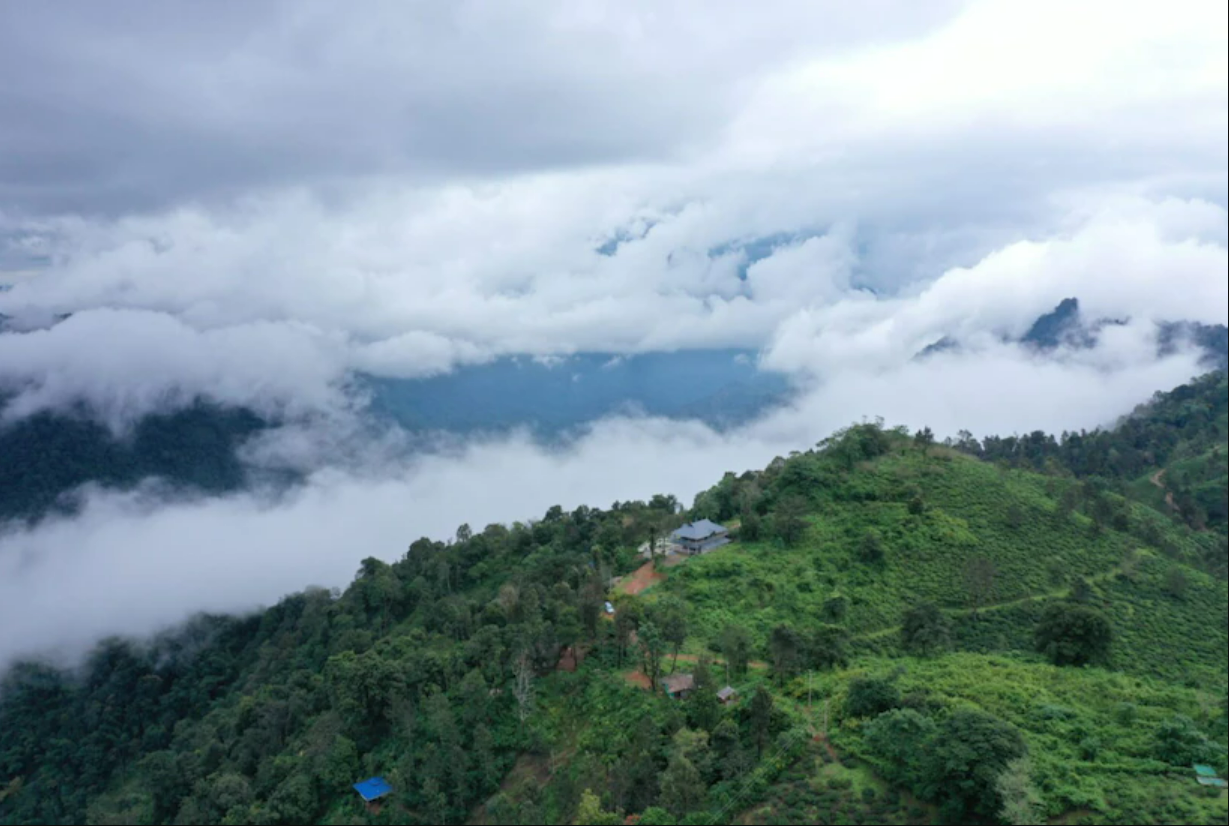 Wayanad Timber Creek Resort, Wayanad 5