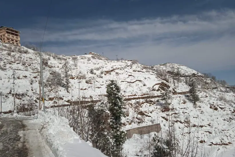 Mountain View Homestay | Rooms with Wi-Fi, Shimla 4