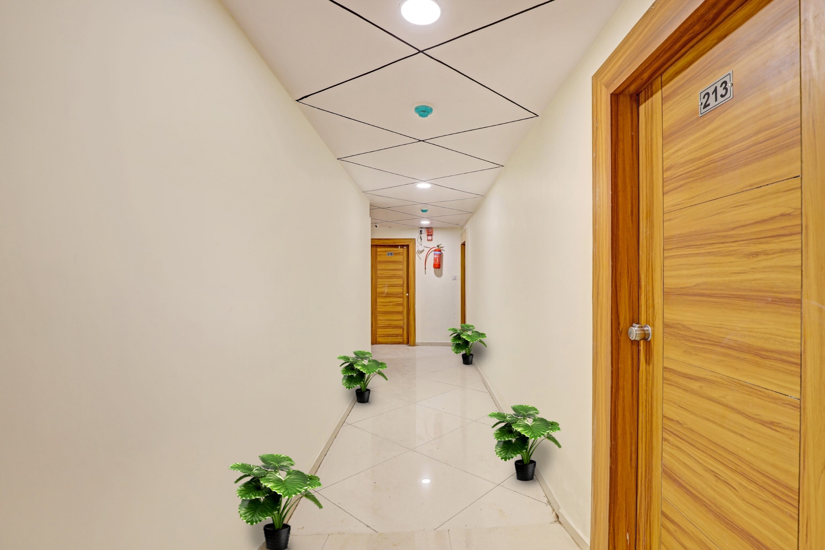 Collection O 92633 Hotel Silver Inn, Ahmedabad 3