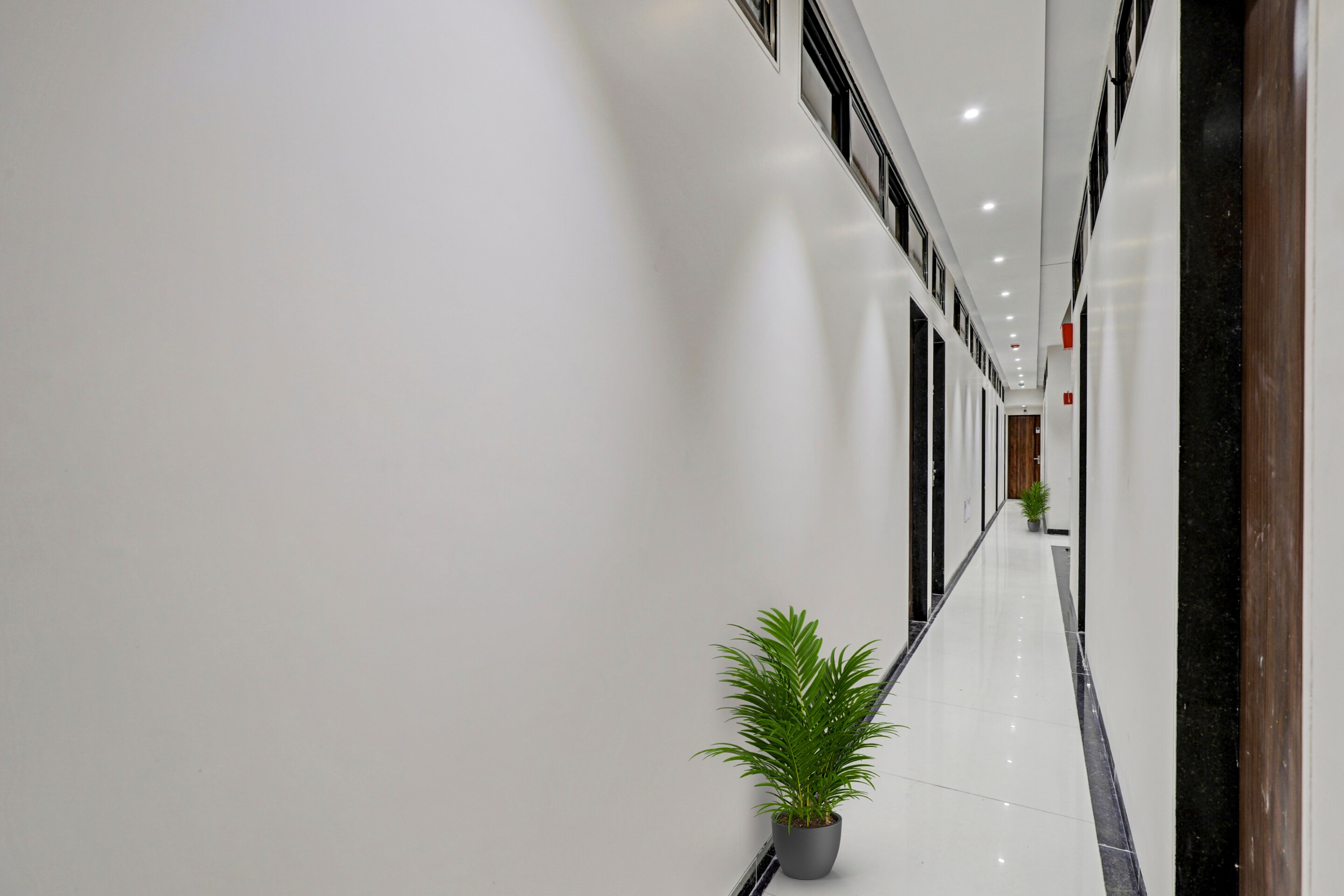 COLLECTION O 87603 Ospite Hotel, Surat 3