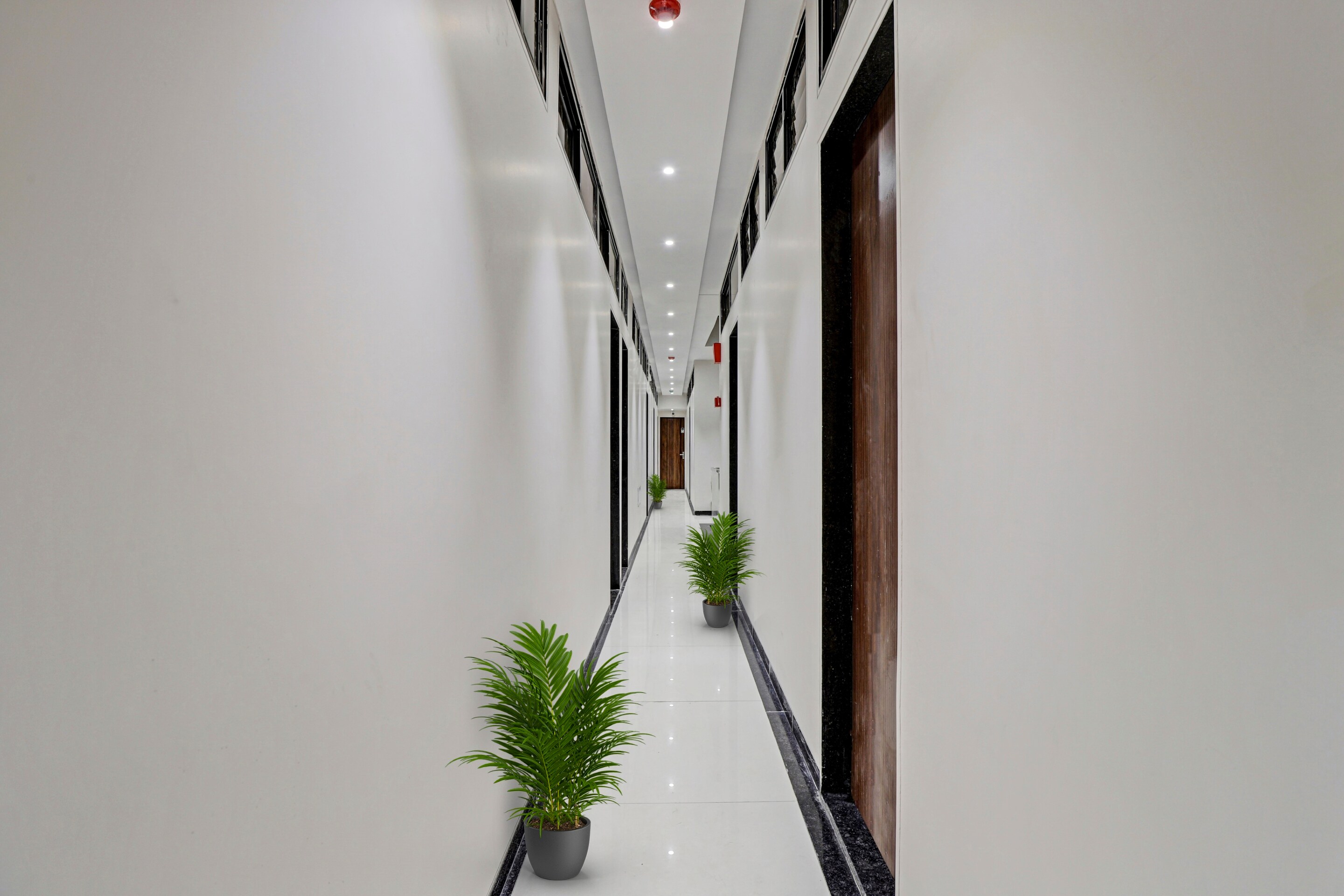 COLLECTION O 87603 Ospite Hotel, Surat 4