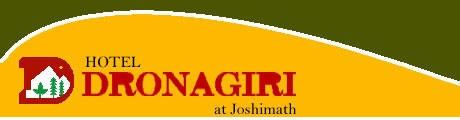 Hotel Dronagiri, Joshimath 5