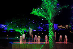 Dunescape Luxury Resort, Jaisalmer 5