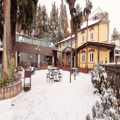 Hotel Paradise Mansion, Mussoorie 2
