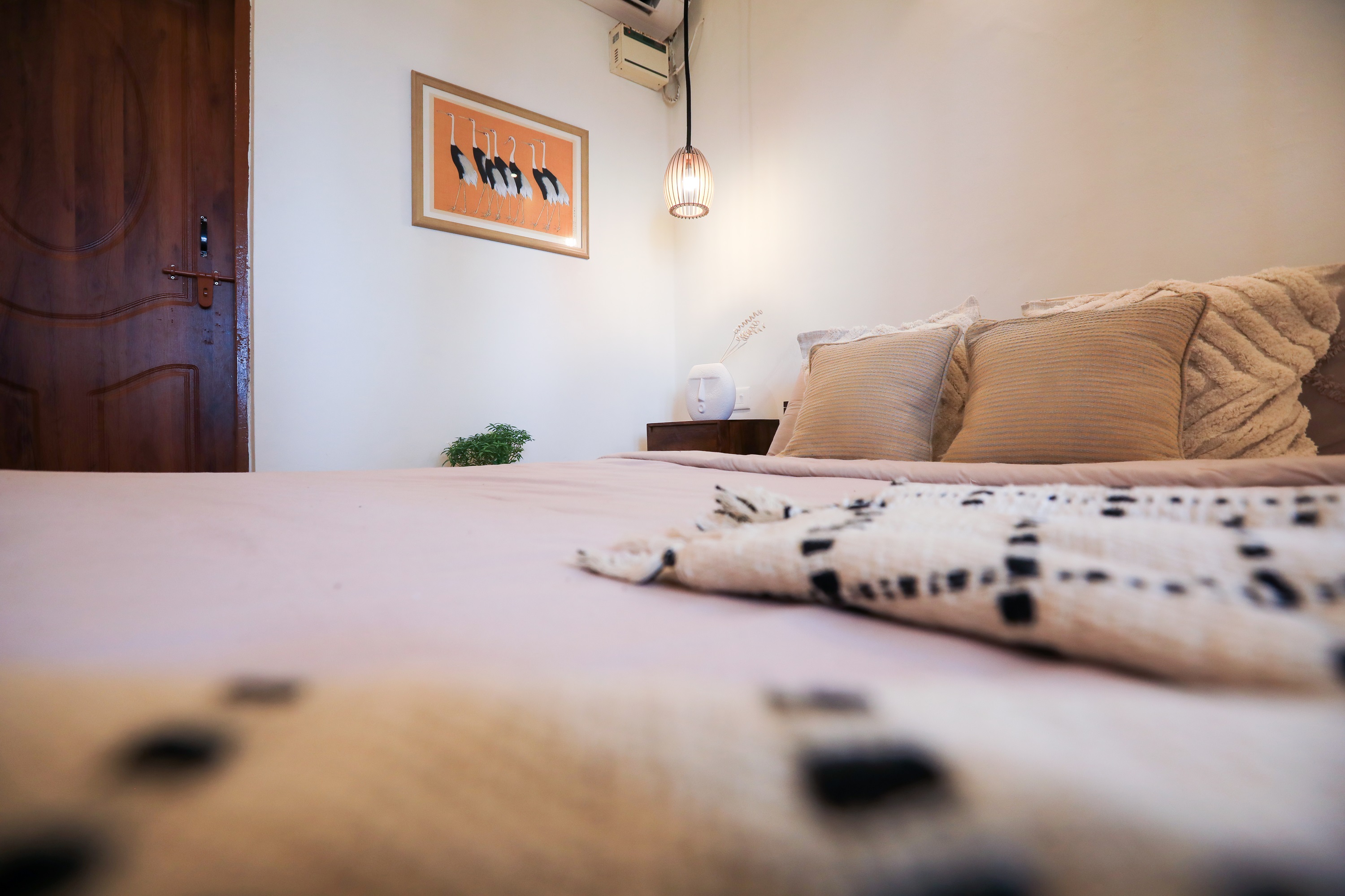 Woodpegger By The Beach