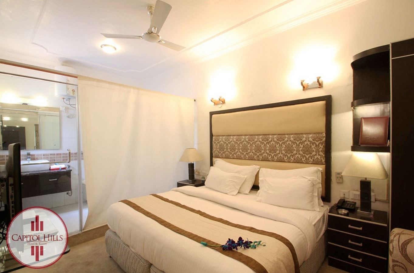 فندق كابيتول هيلز, New Delhi 4