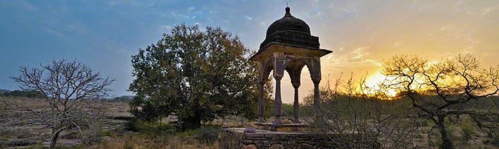 Sunrise Guest House, Sawai Madhopur 4