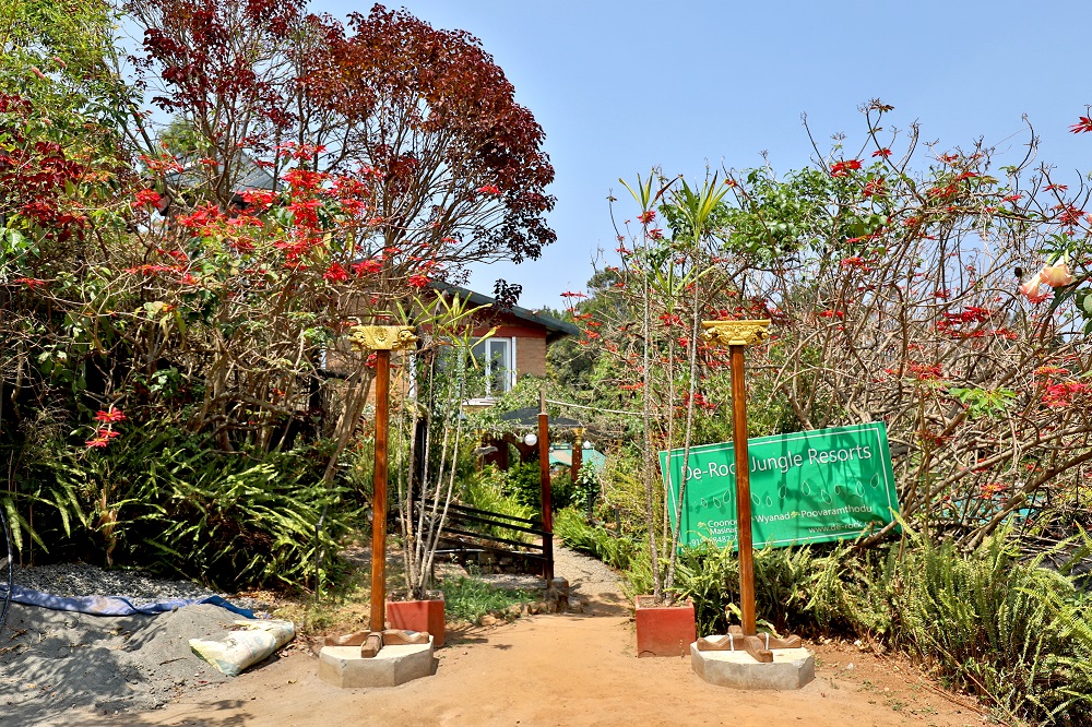 De-rock Jungle Living Resort, Coonoor 2