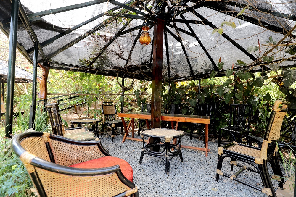 De-rock Jungle Living Resort, Coonoor 4