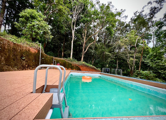 Dejavu 900 woods, Wayanad 4