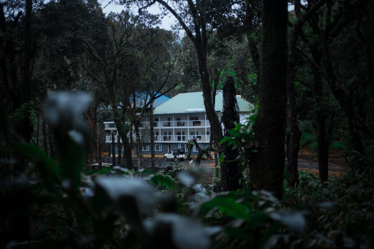 Trivella Aranamala, Wayanad 4