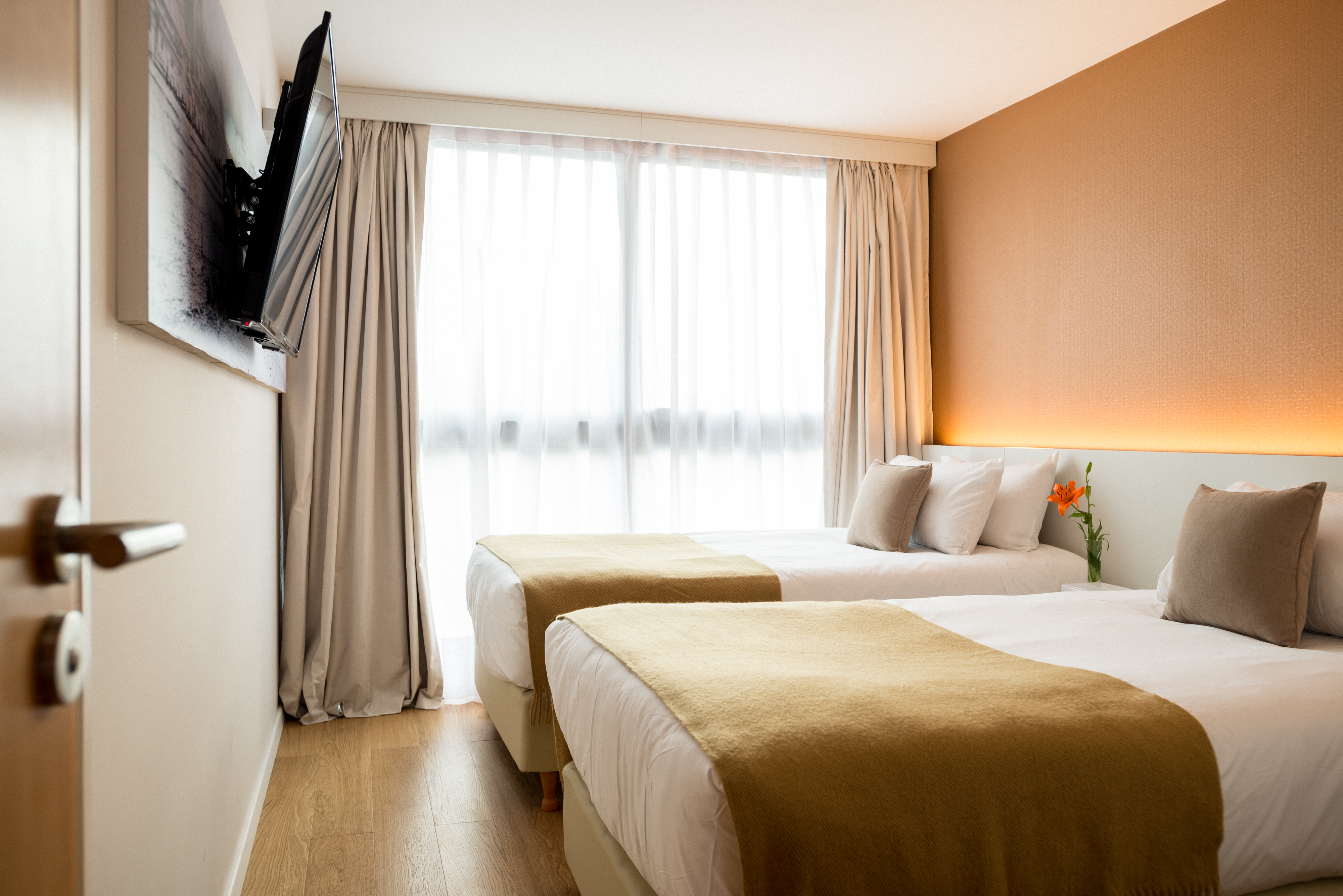 Junior Room Twin (Two beds)