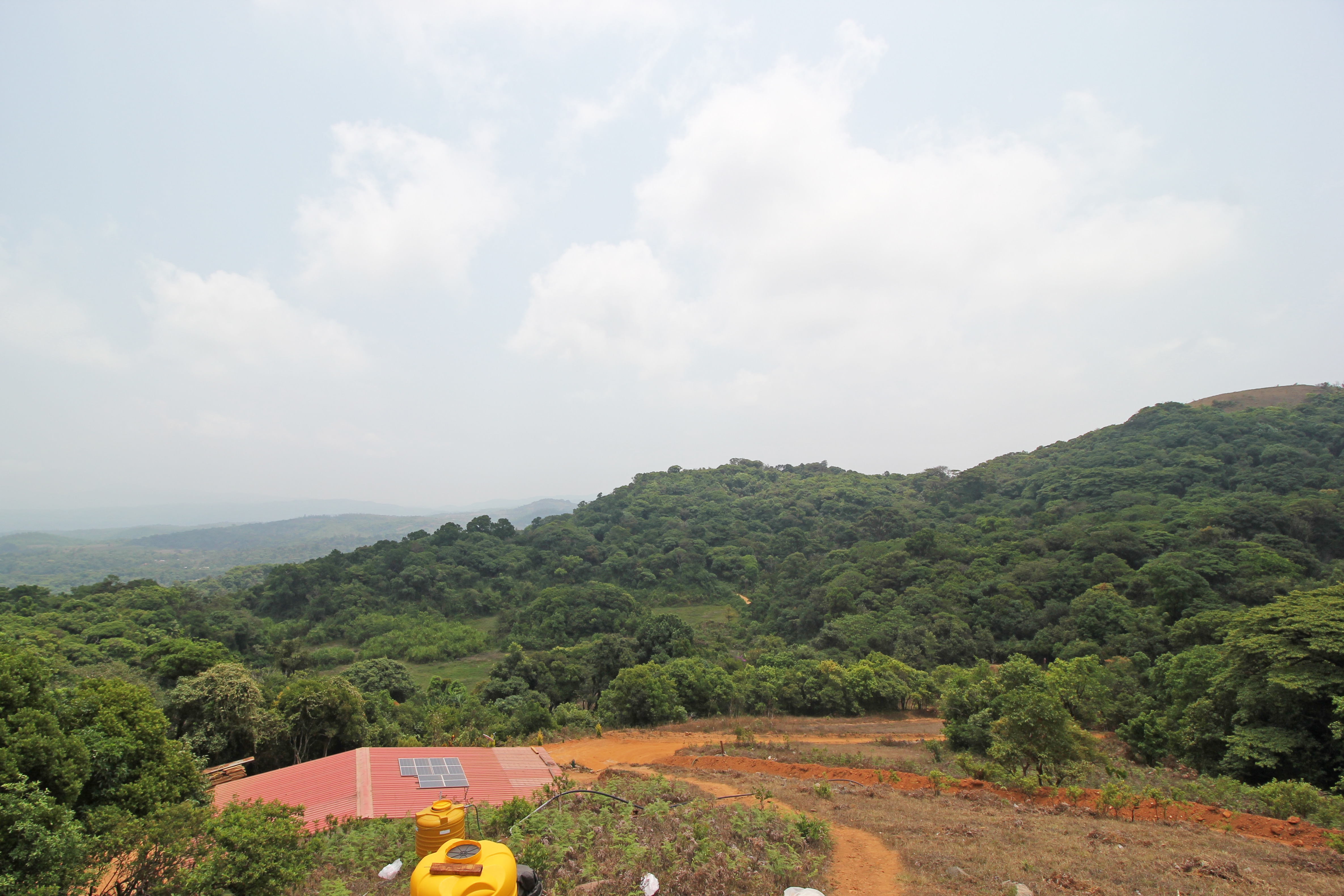 OYO 8702 Coorg Treehouse, Coorg 2
