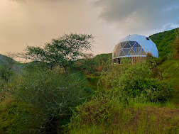 Teela - The Glamping Resort, Jaipur 5
