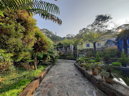 Jharna Tabakoshi - A Nature Paradise by StayApart, Darjeeling 4
