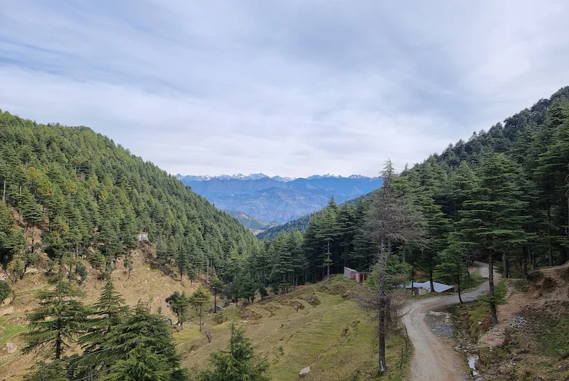 Kavyansh Berry Homestay, Dalhousie 3