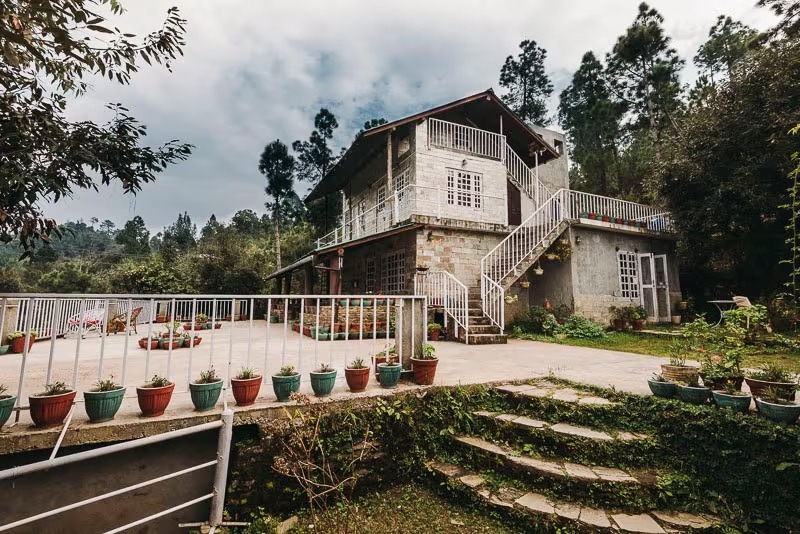 Frozen Woods Resorts