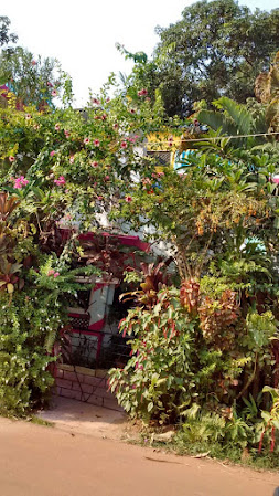 Divine Guest House, Goa 2