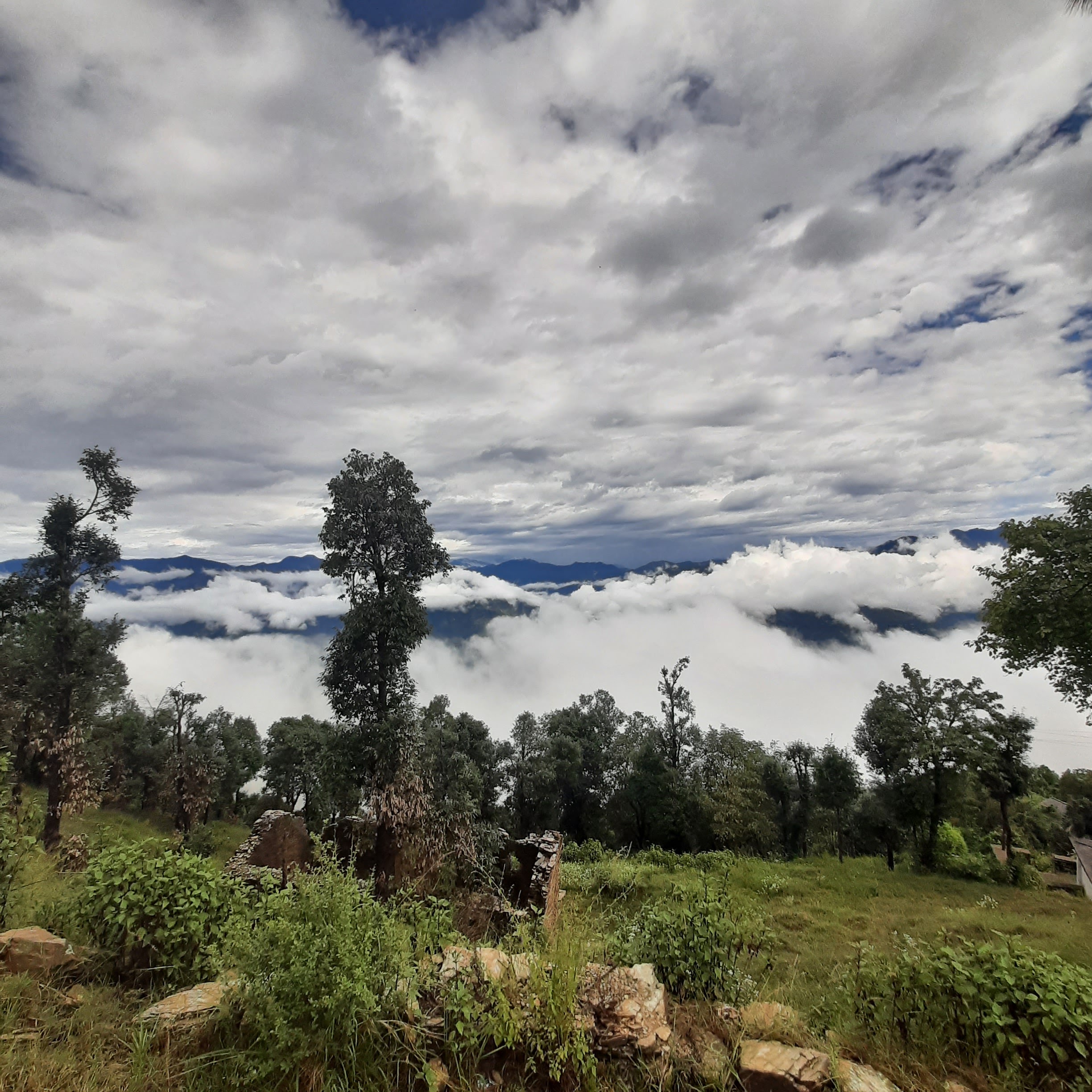 Hotel Kanatal Arbour