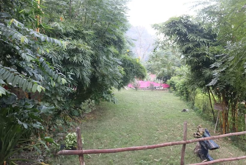 Paddlers Camp By Bull Adventure 0011, Rishikesh 3