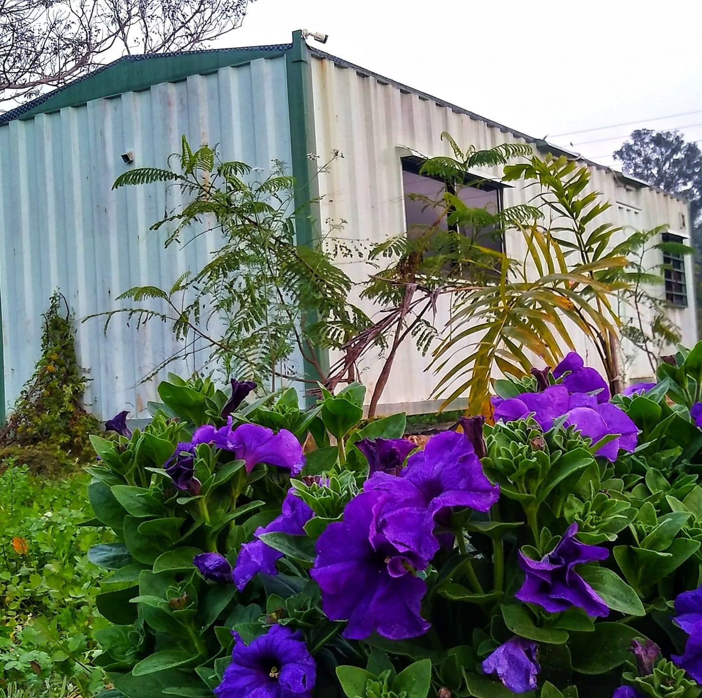 Bhagabatipur Container Stay