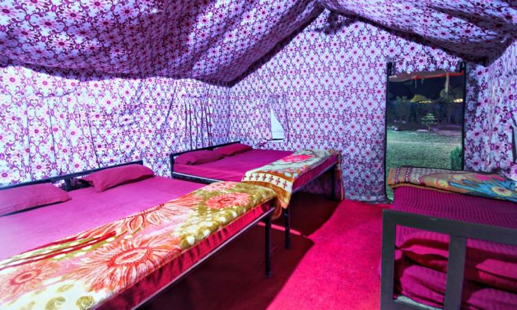 The Valley By Bull Adventure, Rishikesh 4