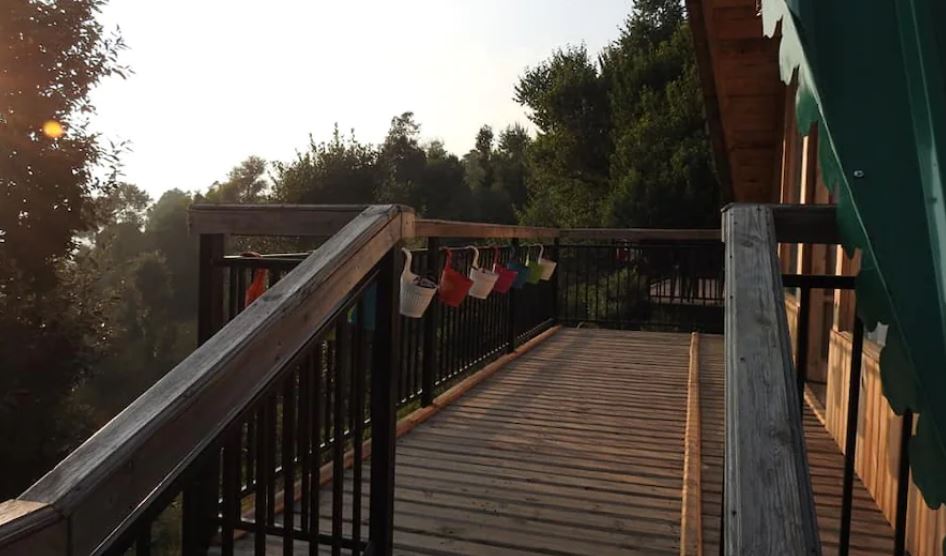 Chirpingi Birdz Resorts, Nainital 5