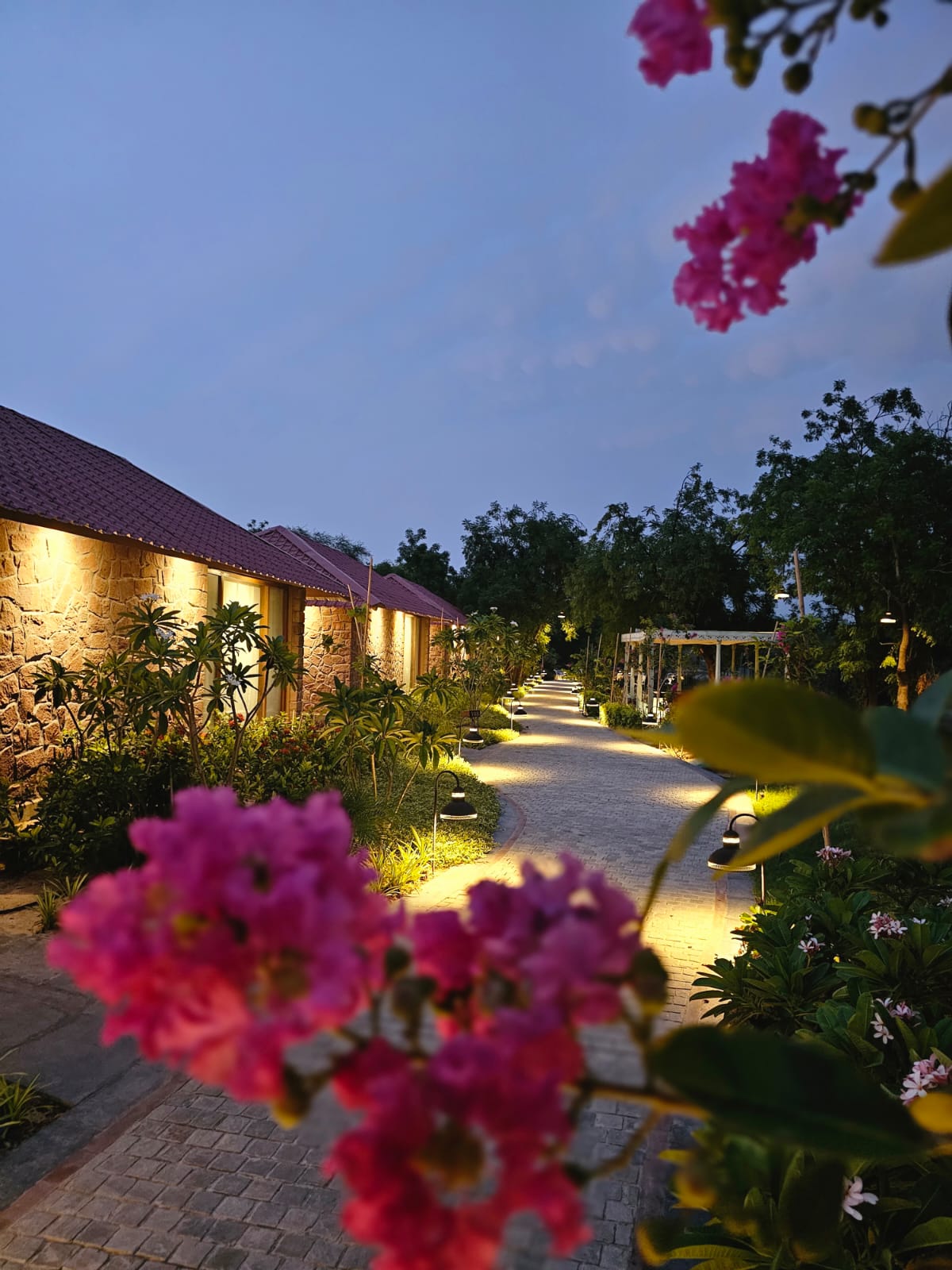 Surpura Bagh, Jodhpur 5