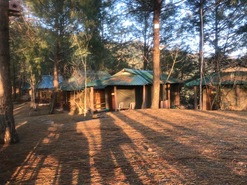 Inde Pinewood Nirvana Shoghi Shimla, Shimla 2