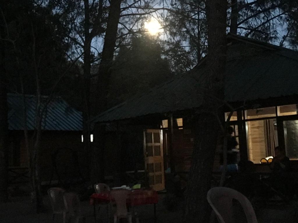 Inde Pinewood Nirvana Shoghi Shimla, Shimla 4