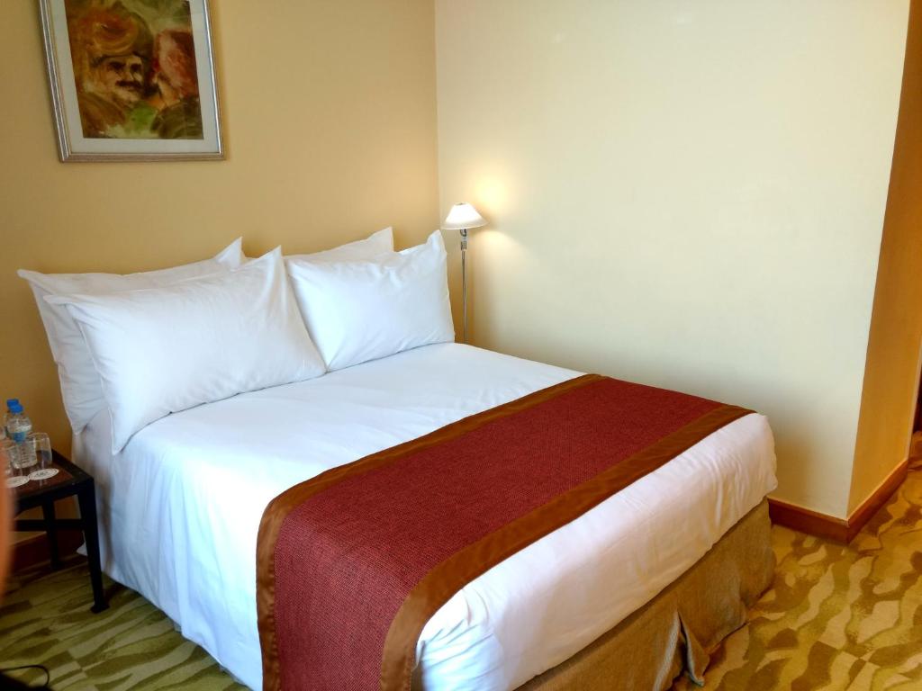 The Grand Luxury Apartment, New Delhi 4