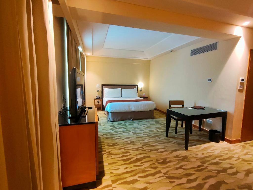 The Grand Luxury Apartment, New Delhi 5