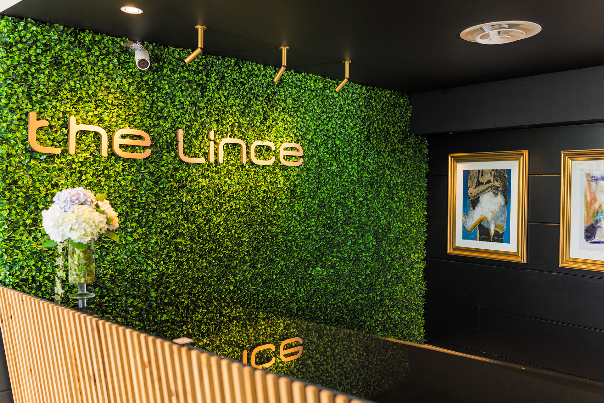 Imagem do hotel The Lince Azores