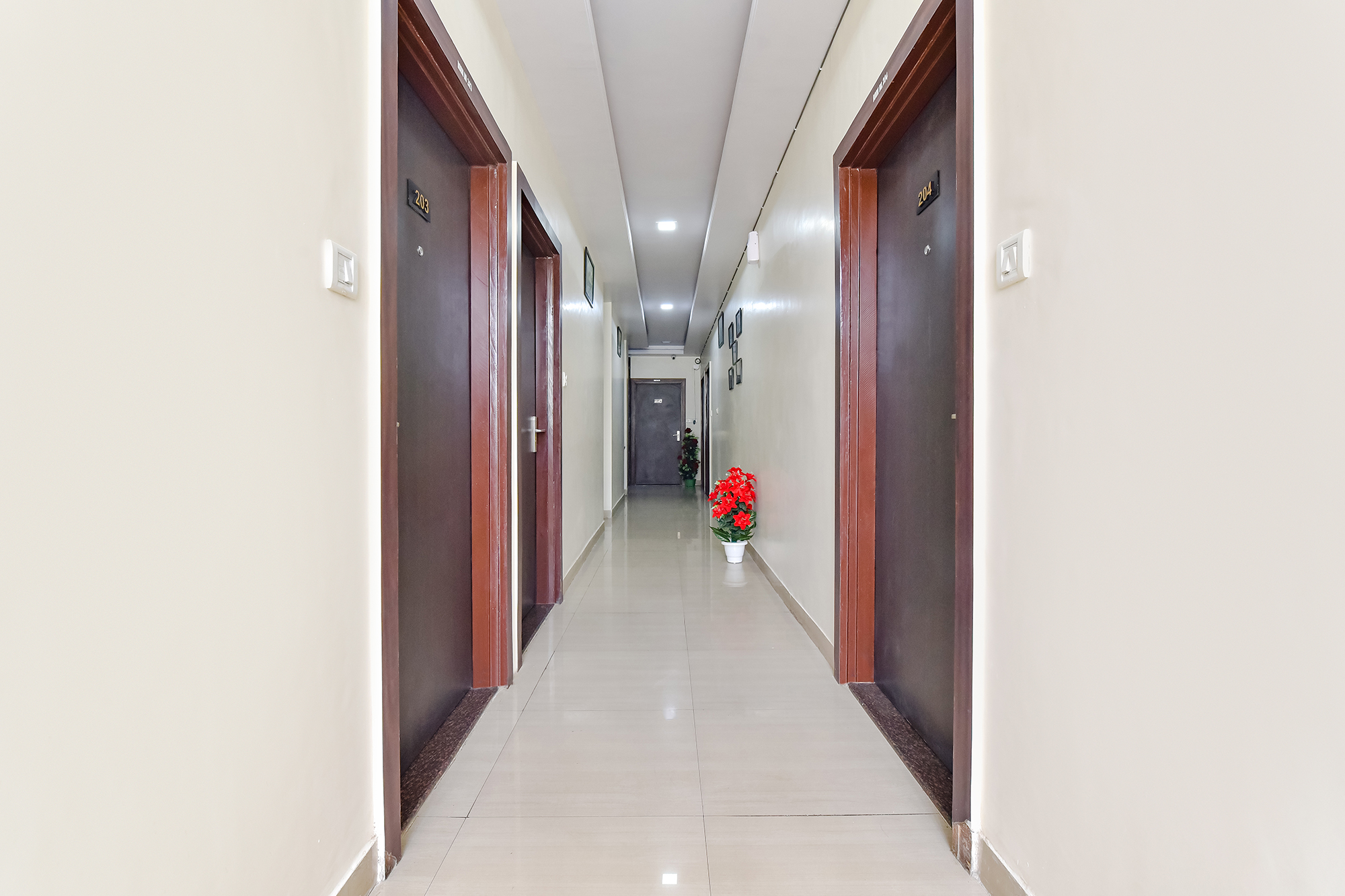 FabHotel Pink Palace, Jaipur 4