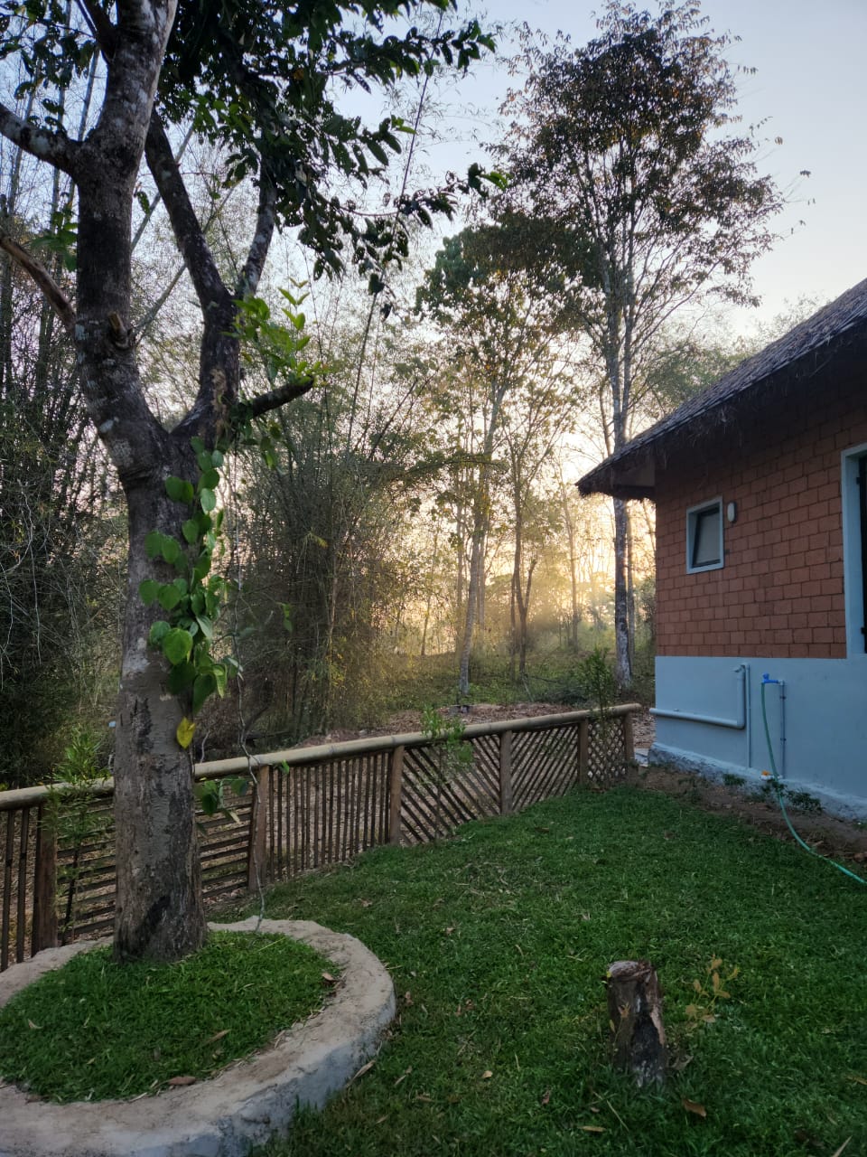 Arippa Eco Tourism-Stay inside Forest, Thiruvananthapuram 4