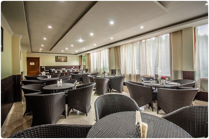 Hotel Manali Paradise, Manali 2