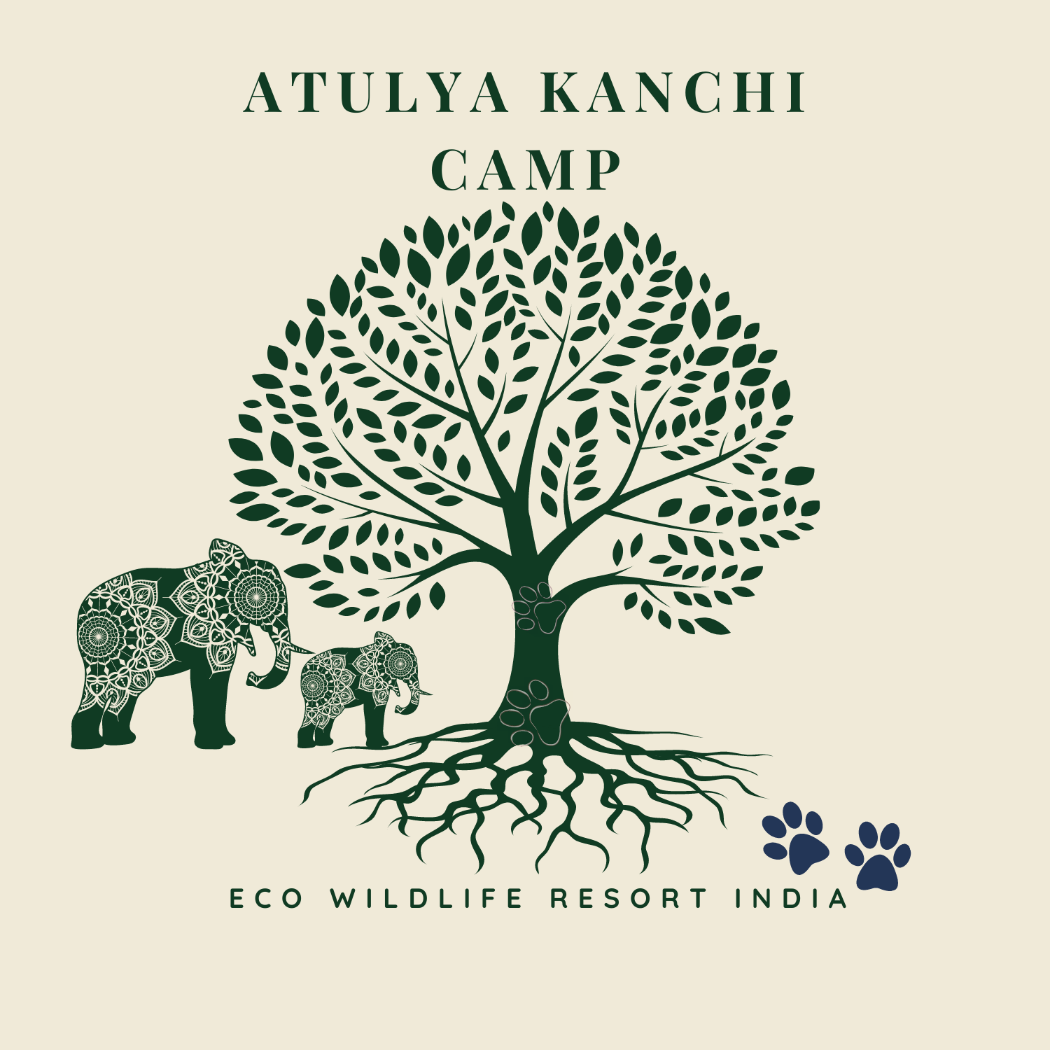 Atulya Kanchi Camp, Bandhavgarh 2