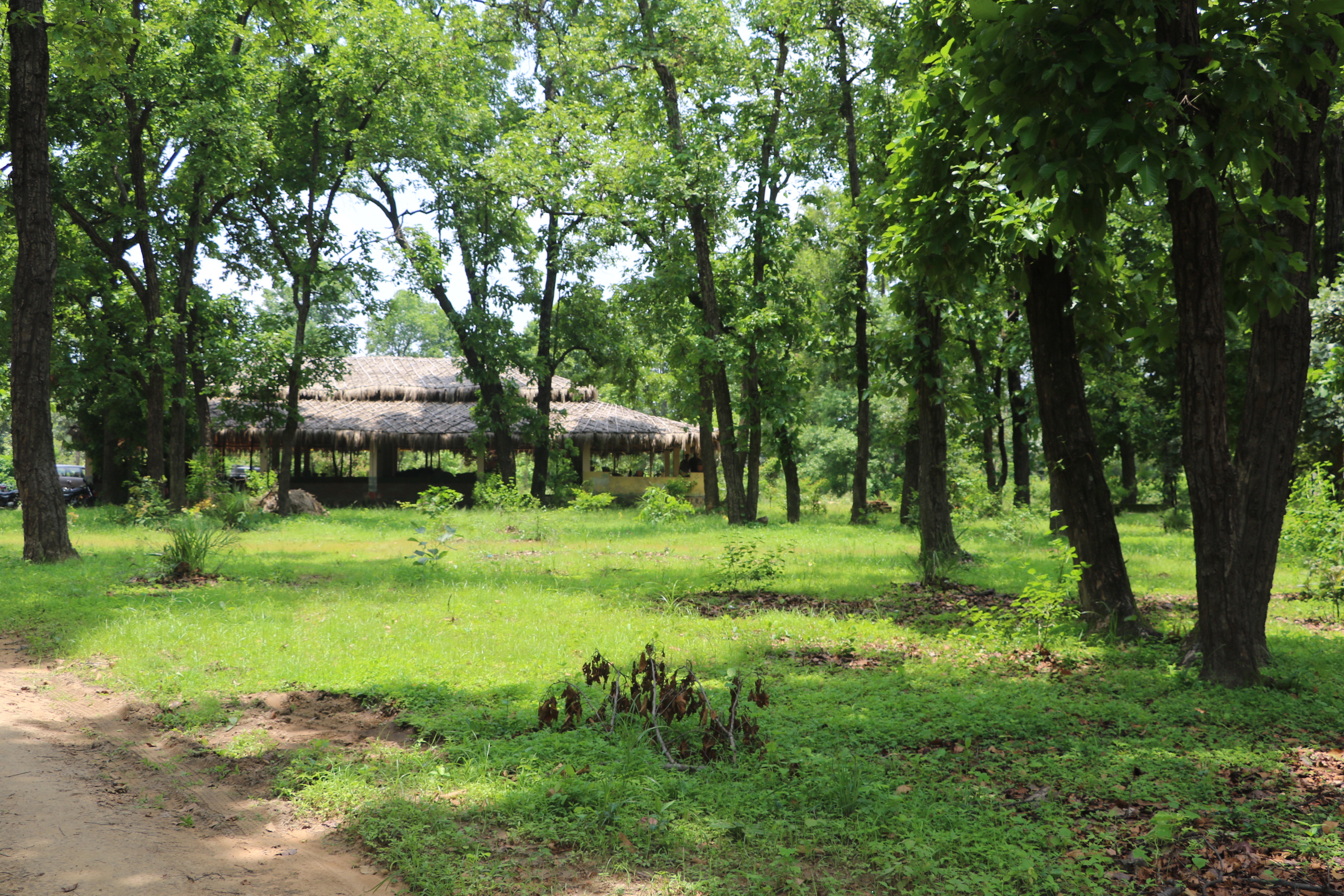 Atulya Kanchi Camp, Bandhavgarh 5