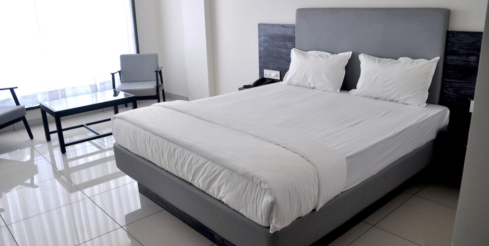 Srijan Inn, Abu Road 5