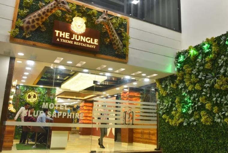 Motel Blue Sapphire, Roorkee 5