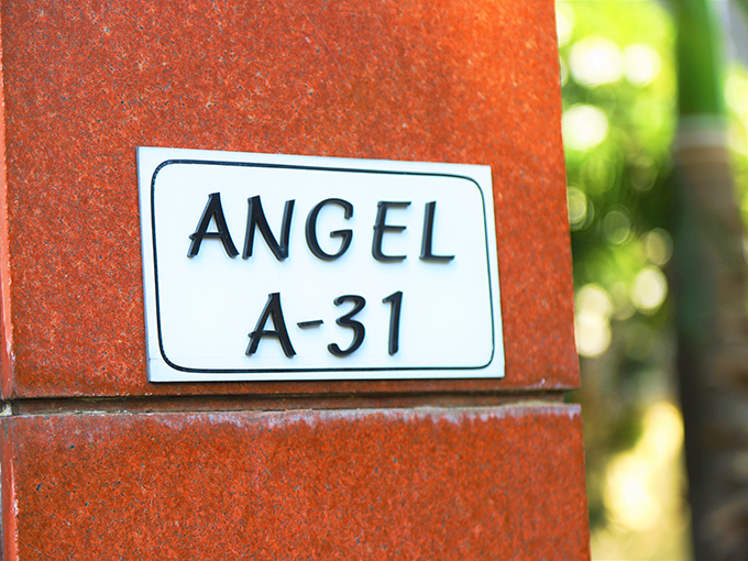 Angel NRI Hotel, New Delhi 5