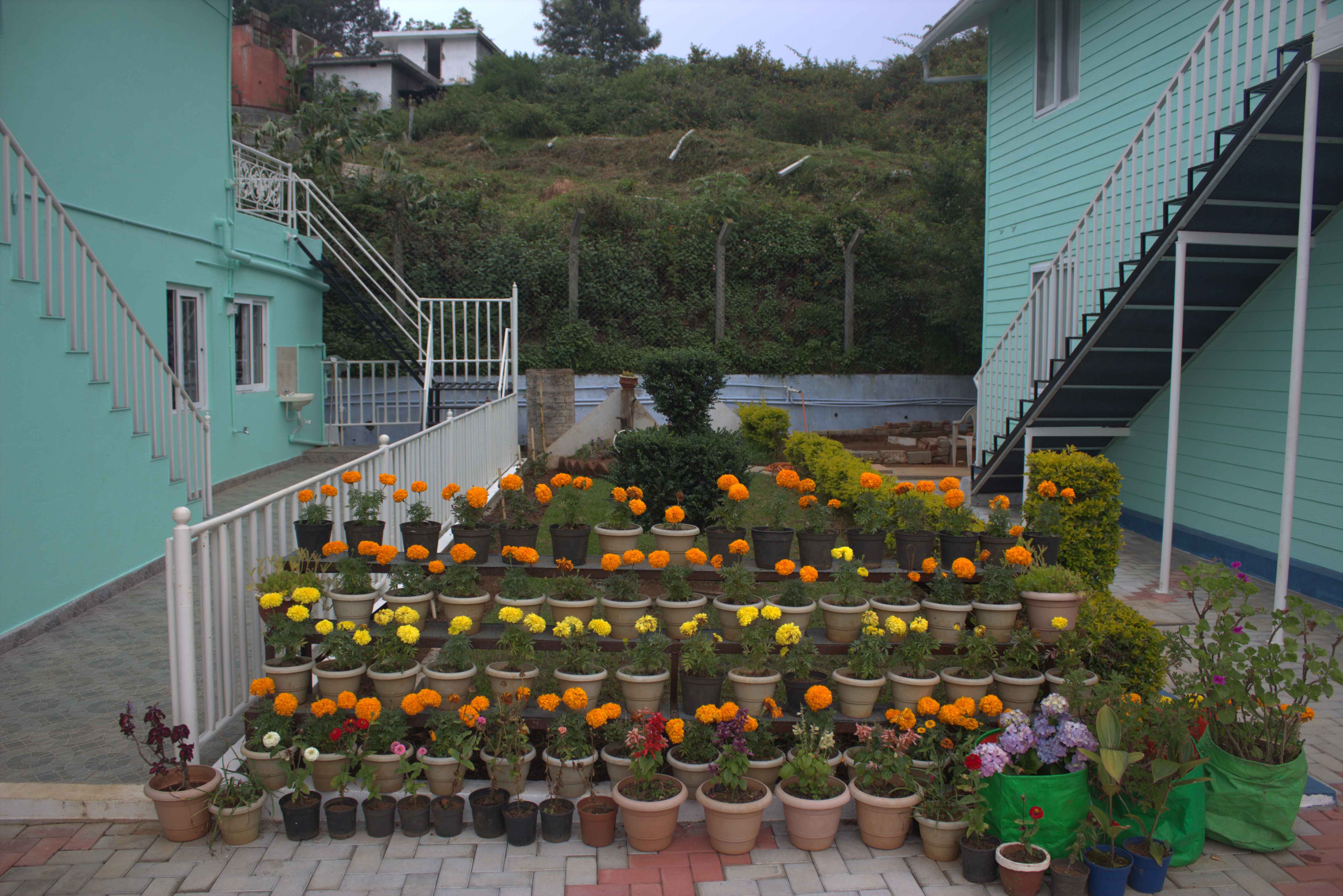 Blossom Inn, Kotagiri 5