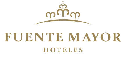 Fuente Mayor Hotel Terminal — foto 5
