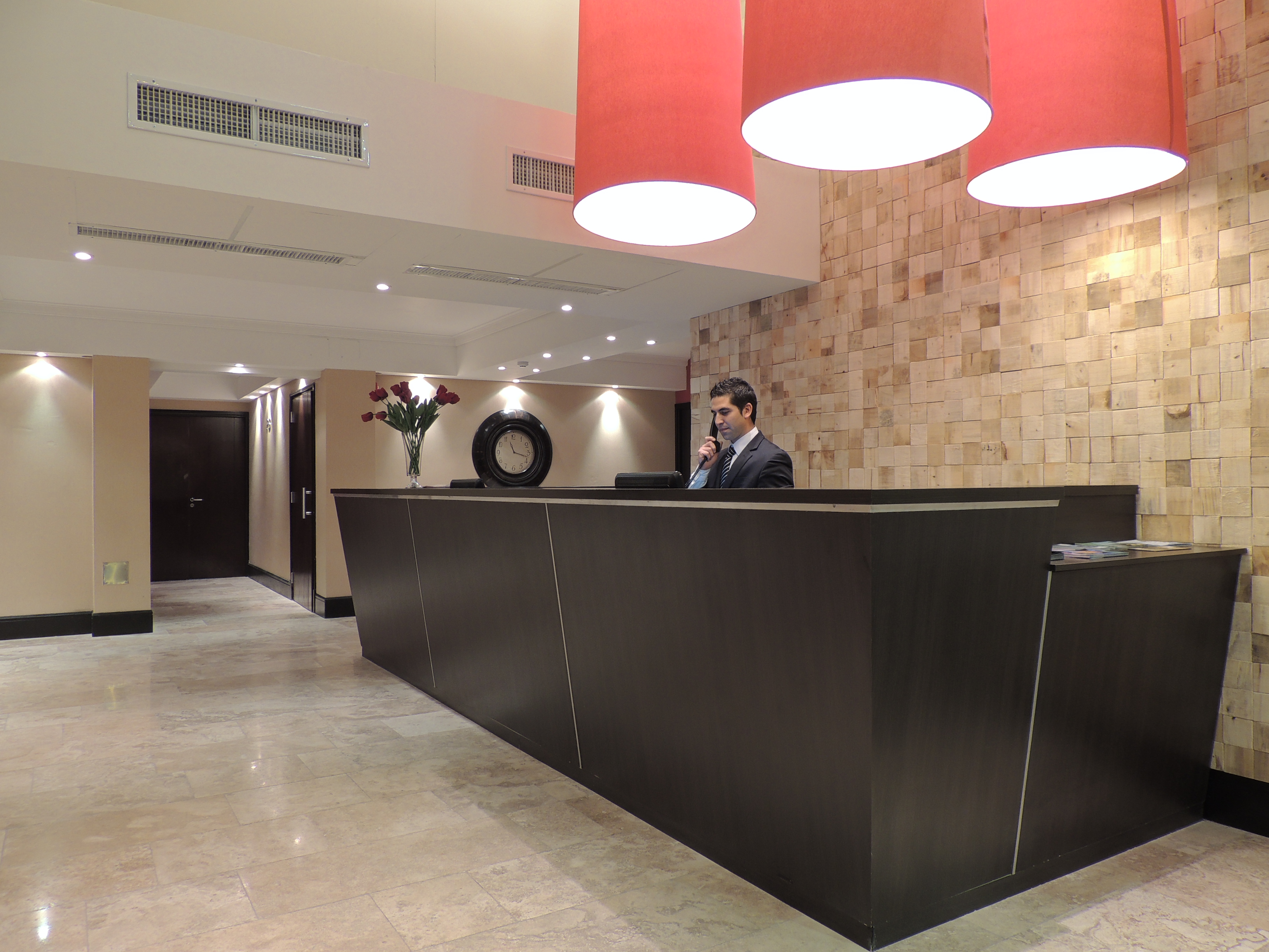 Premium Tower Suites San Luis — foto 4