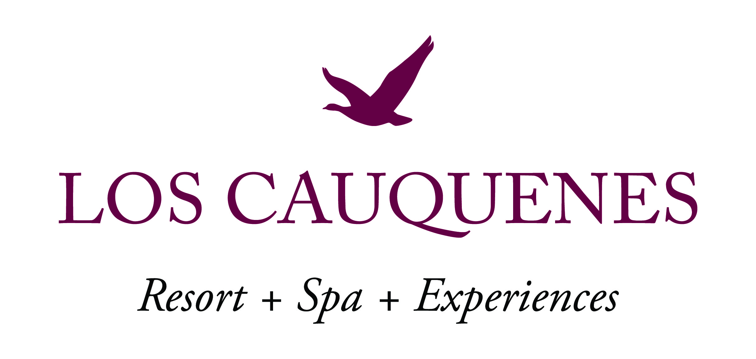 Los Cauquenes Resort Spa Experiences