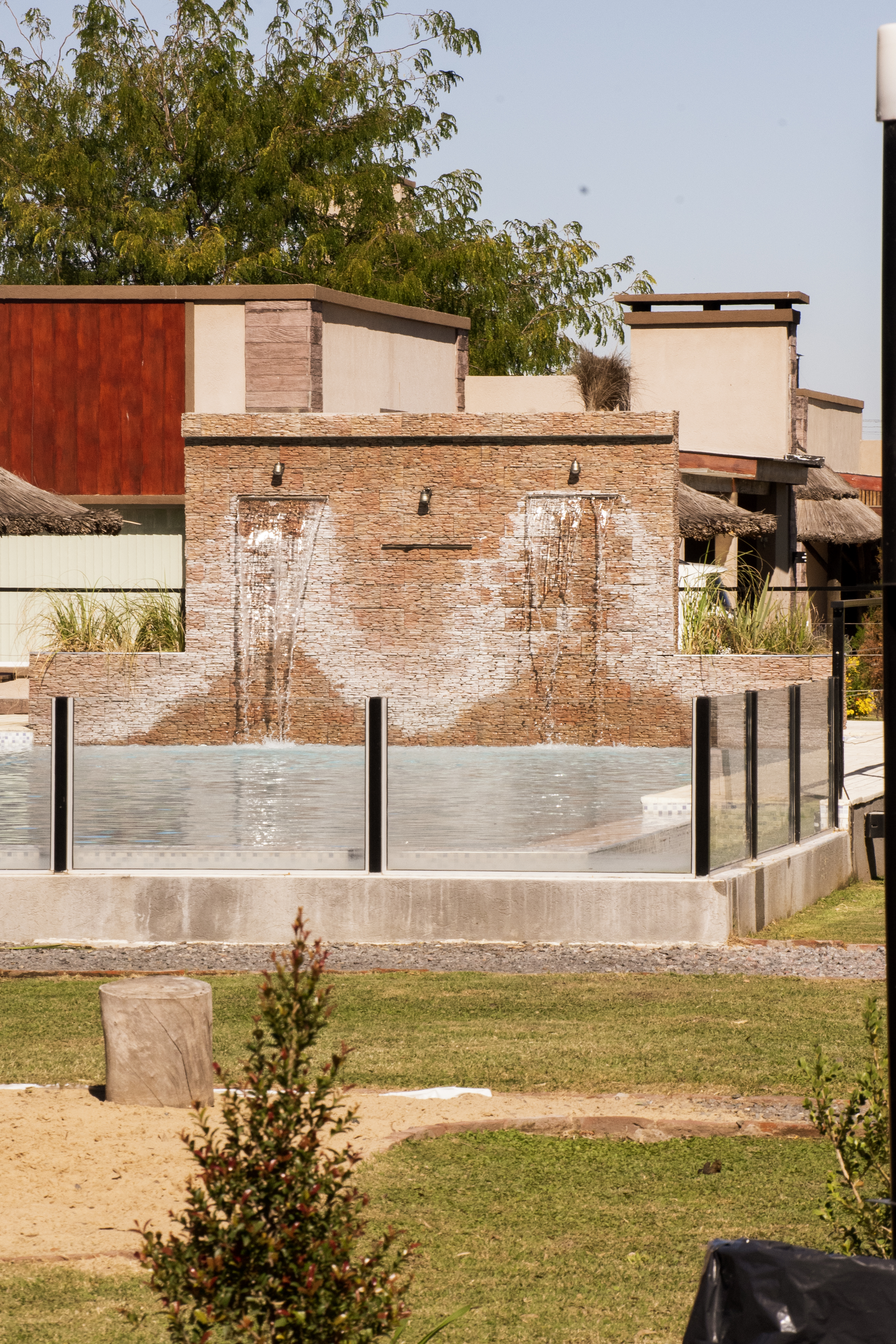 Olivos de Monte — foto 4