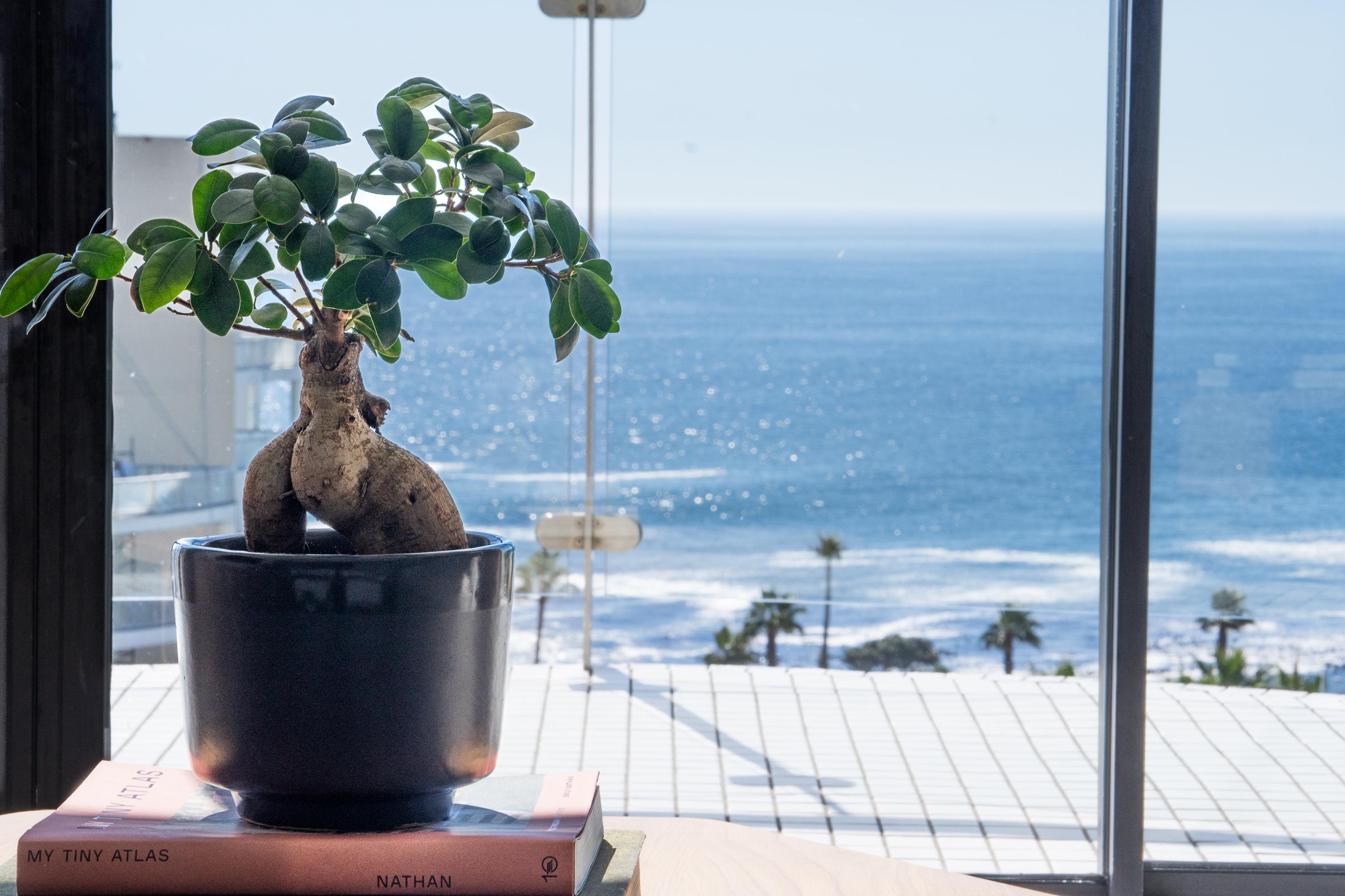 Signature Family Ocean Suite - 1