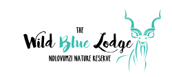 The Wild Blue Lodge SAFARI & SPA