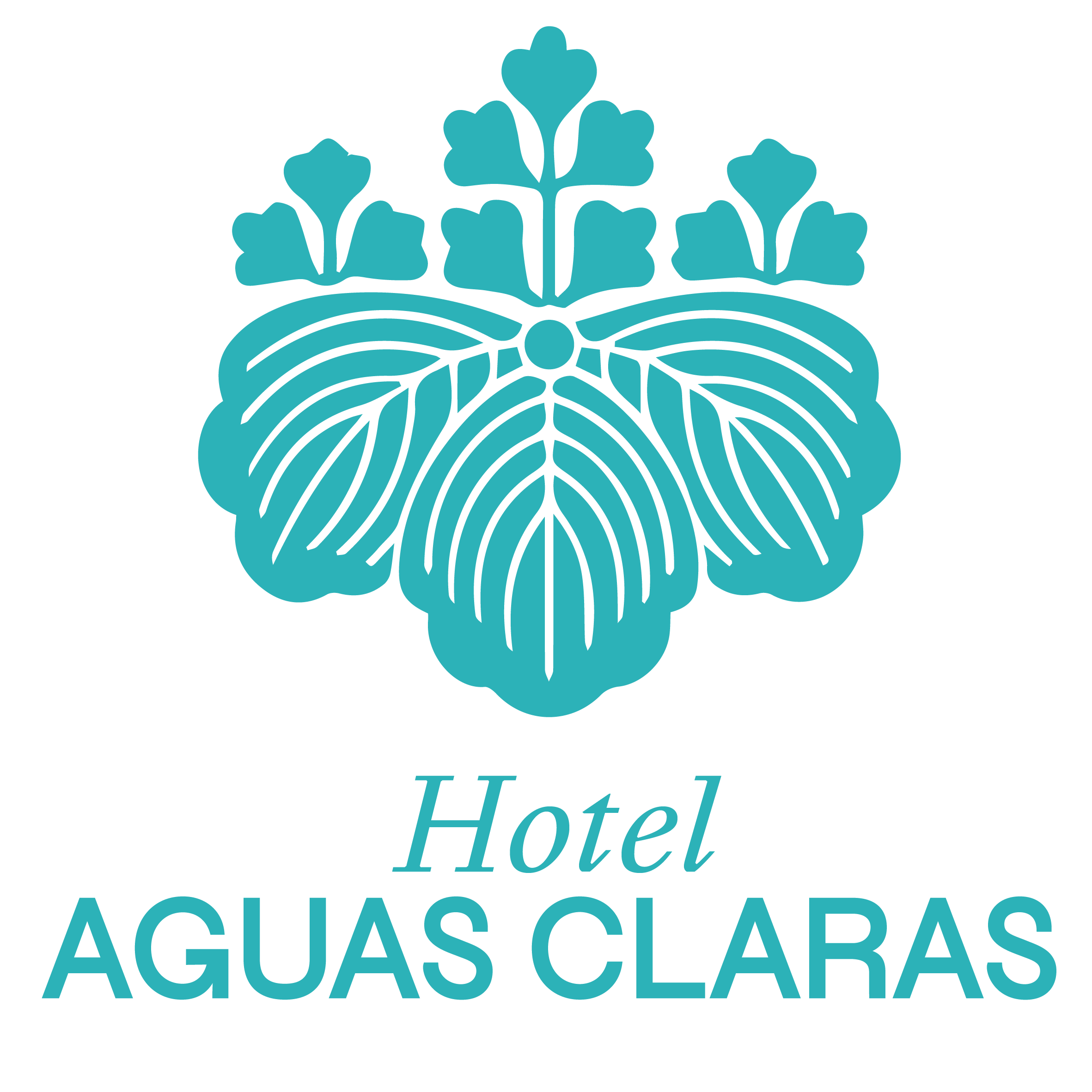 Hotel Aguas Claras Member of the Cayuga Collection