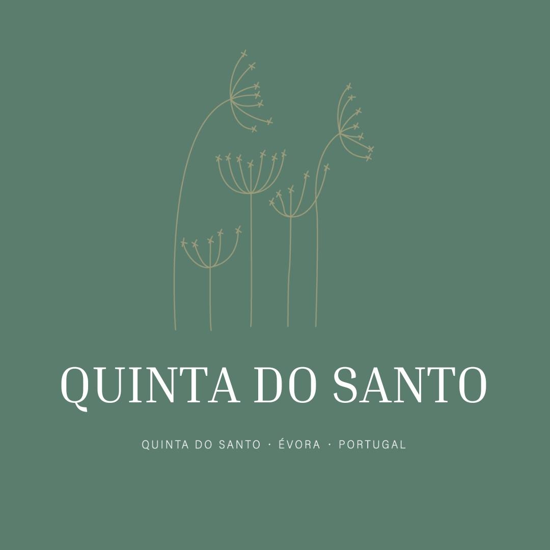 Cenoura-Brava - Évora